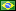 Brasilian